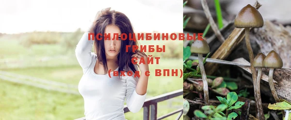 COCAINE Алексеевка