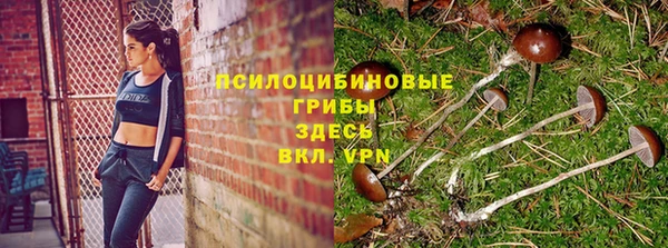 СК Абдулино
